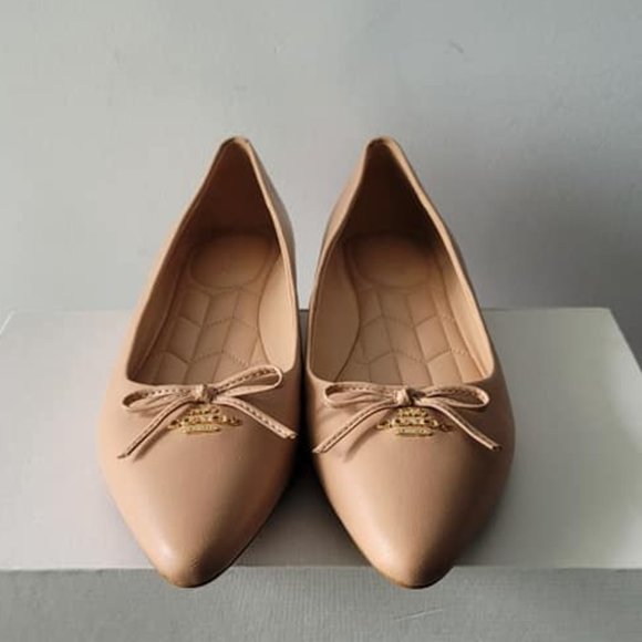 $128 *NEW* (9.5) Coach Point Ballet - Picture 2 of 8